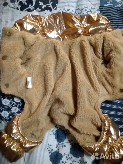 Одежда для йорка