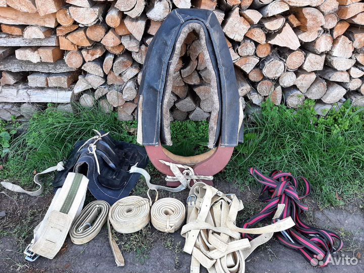 Сбруя для лошади