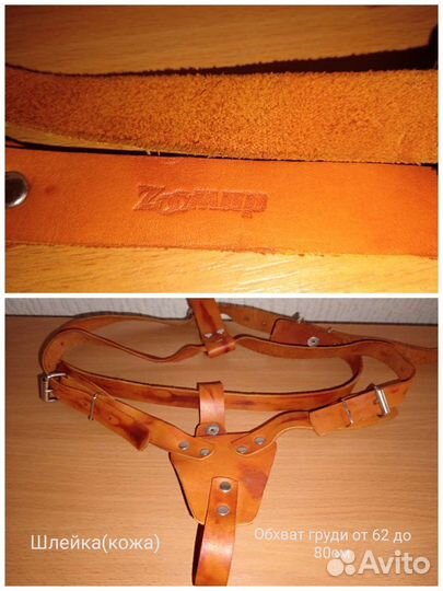 Амуниция для собак