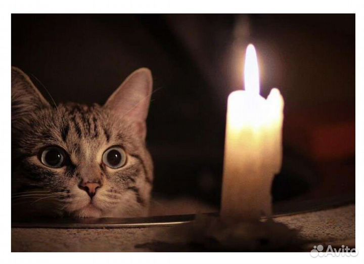 Ибп бесперебойник для котла