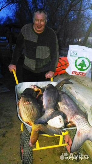 Продаю прогресс-4, меркурий-50