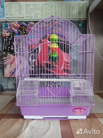 Клетка для волнистого попугая