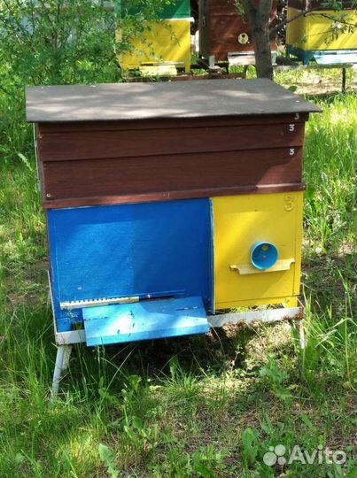 Улей для пчел