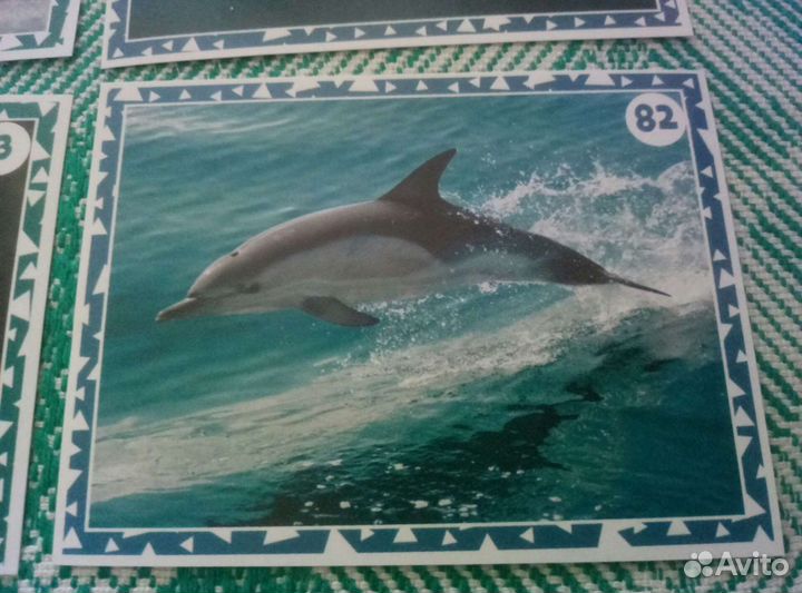 Наклейки живая планета