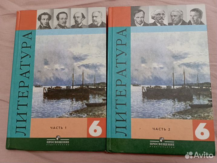 Книги 2 части 6 класс литература просвещение