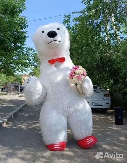 Поздравление, Белый ростовой мишка, аниматор