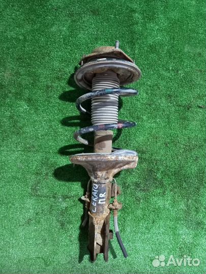 Амортизаторы передние Kia Cerato 2004-2008