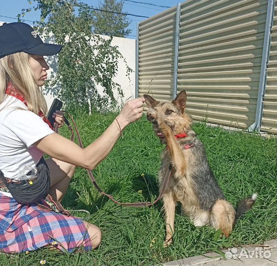 Самый обаятельная и привлекательный