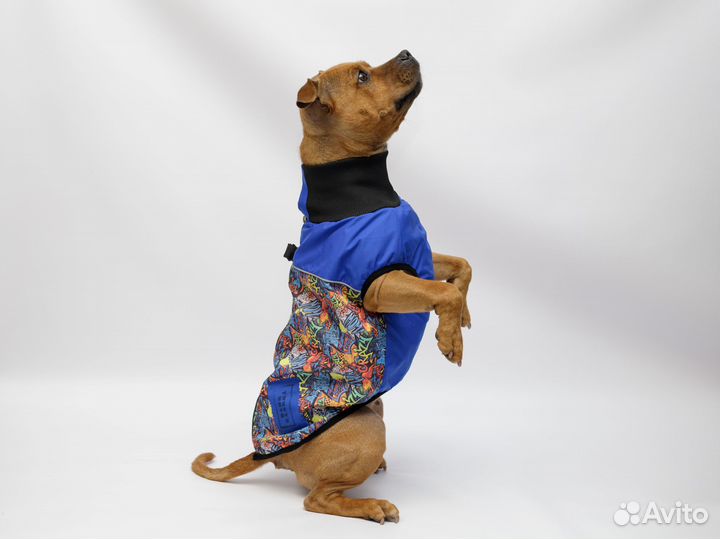 Жилет для собак