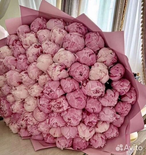 Голландский пионы сара бернар