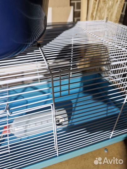 Клетка для грызунов бу