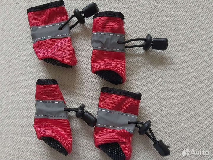 Одежда для собак мелких пород