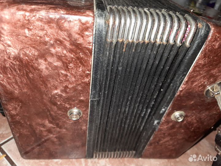 Гармонь чайка 2