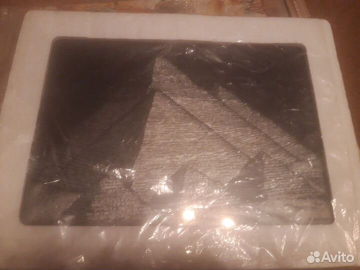 Папирусы в рамке