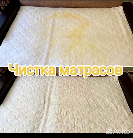 Аренда, прокат моющего пылесоса karcher