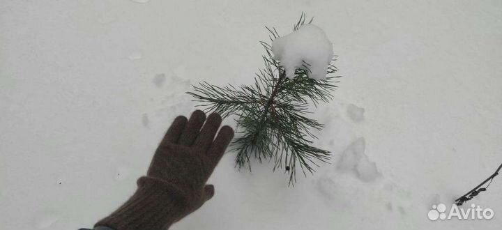 Перчатки пух яка