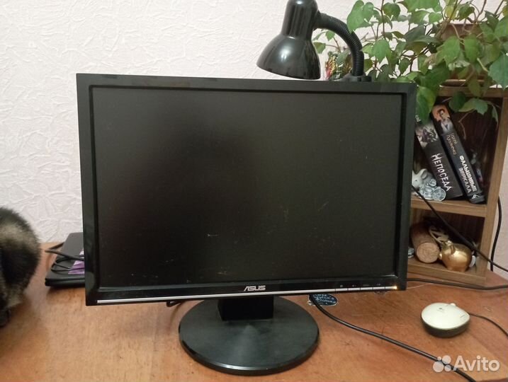 Монитор для компьютера Asus