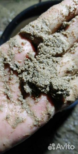 Абиссинская скважина бурение