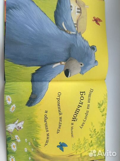 Мишка и мышка, иллюстрации Джейн Чапмен