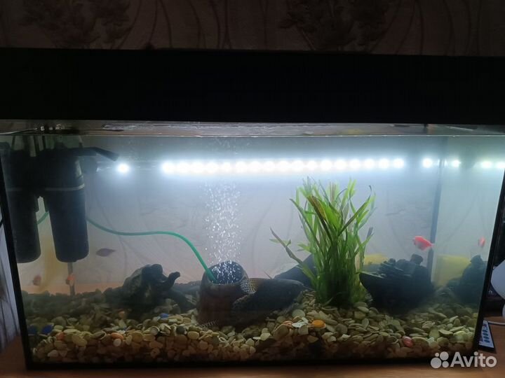 Аквариум