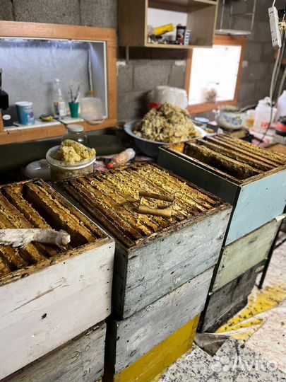 Мёд натуральный