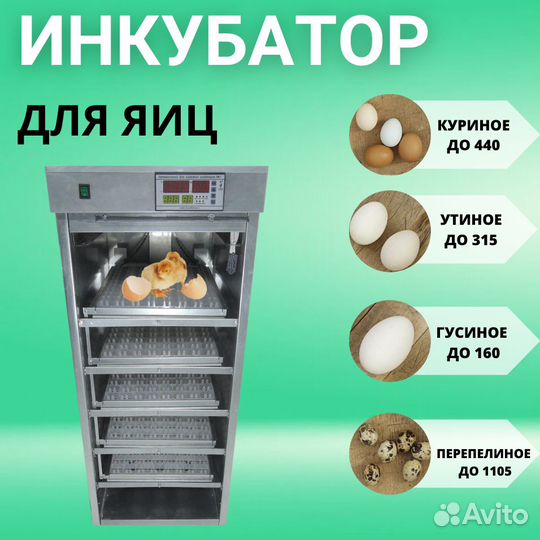 Инкубатор