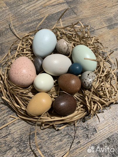 Набор деревянных яиц (12 штук )