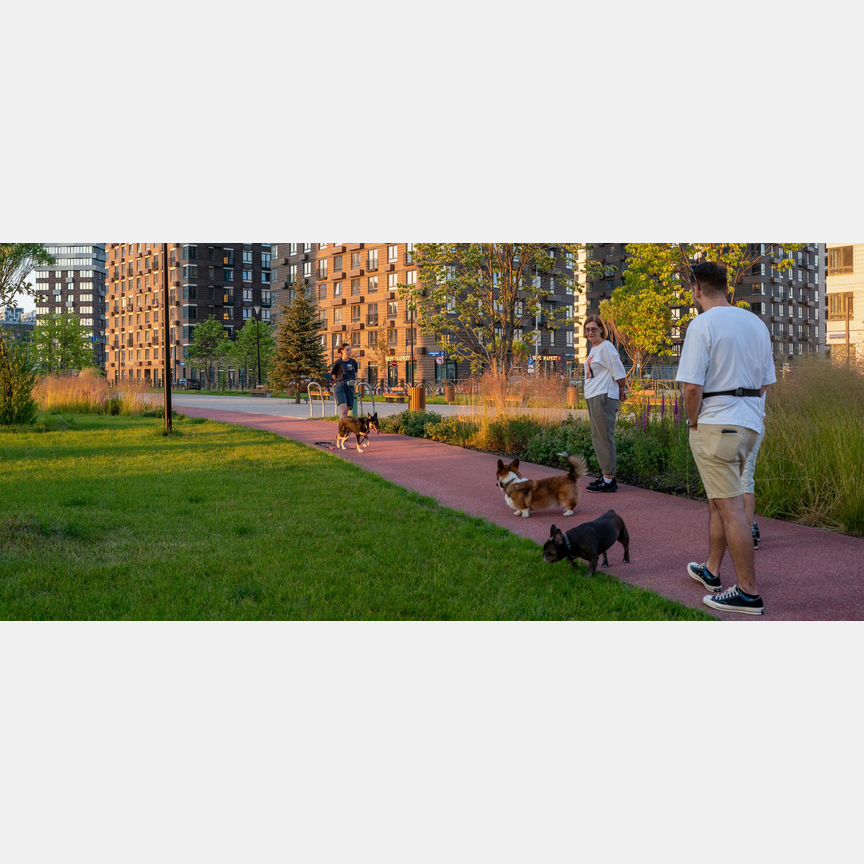 1-к. квартира, 33,3 м², 21/24 эт.