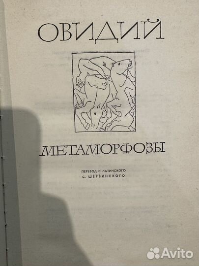 Овидий метаморфозы