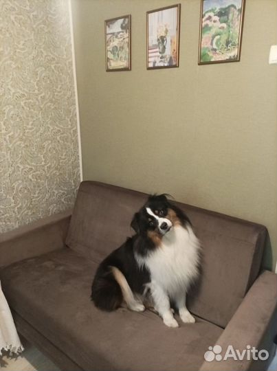 Химчистка мягкой мебели, диванов, ковров, матрасов