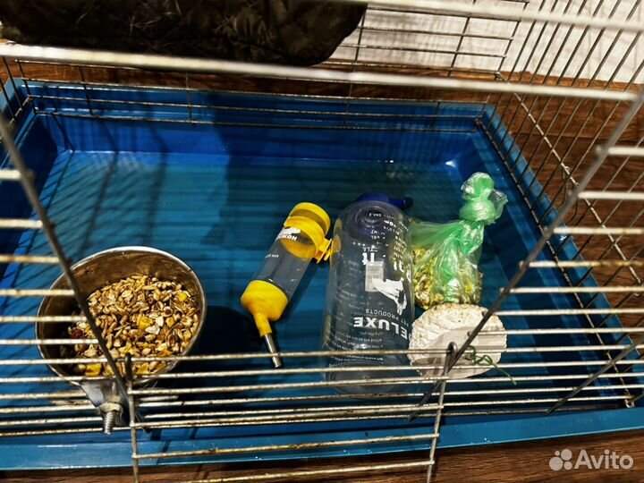 Клетка и переноска для крысы или шиншилы