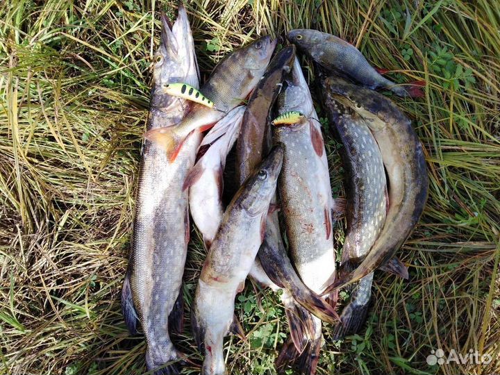 Воблер Crazy Crank