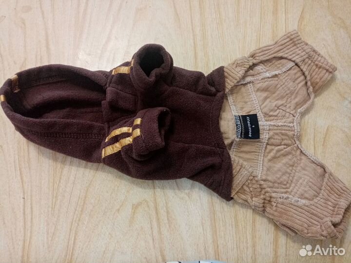 Одежда для маленьких собачек