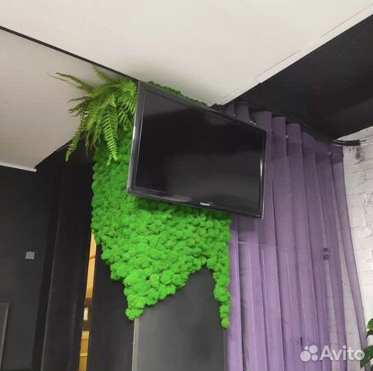 Стабилизированный мох