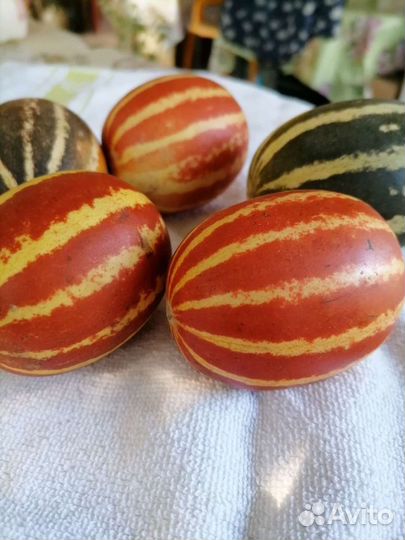 Мини Дынька семена