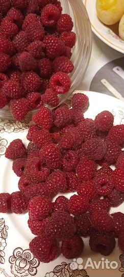 Ремонтантная малина