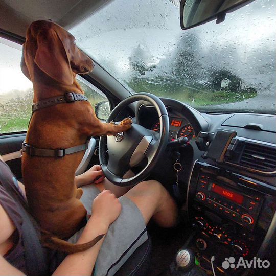 Звезда тиктока