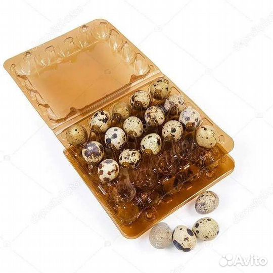 Упаковка для перепелиных яиц