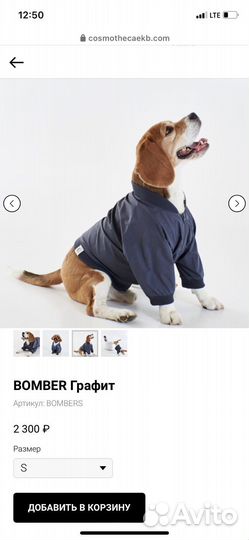 Бомбер для собак