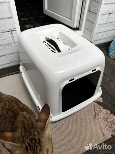 Закрытый лоток для кошек