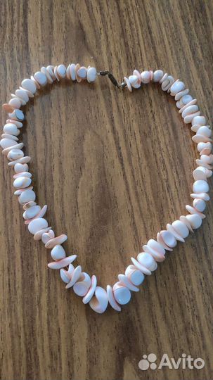 Ракушка натуральная