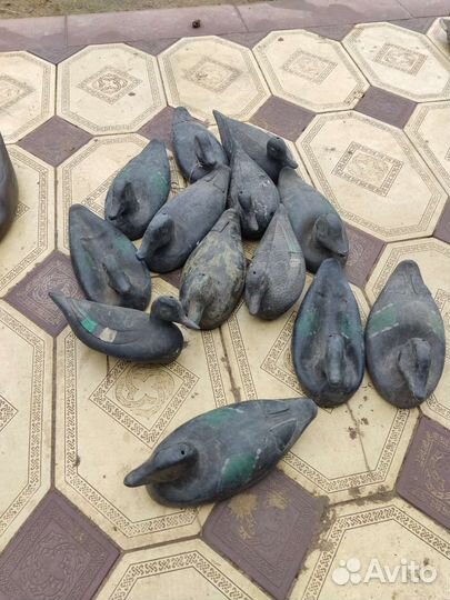 Подсадные утки