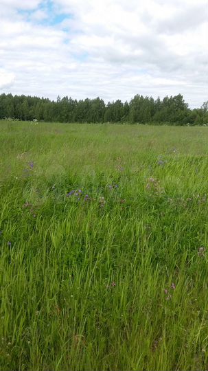 Участок 7,5 га (СНТ, ДНП)