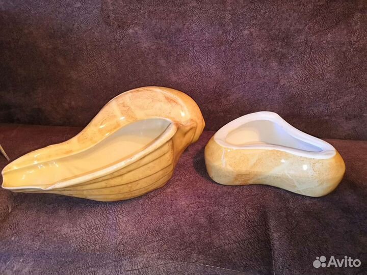 Ракушки декоративные