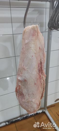 Вымя говяжье. Корм для животных