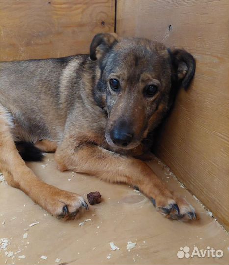 Одинокая жизнь