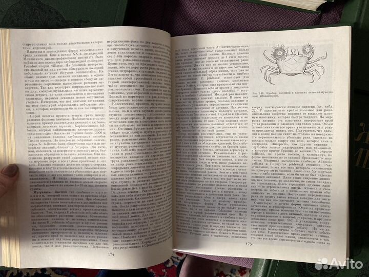 Мир животных энциклопедия