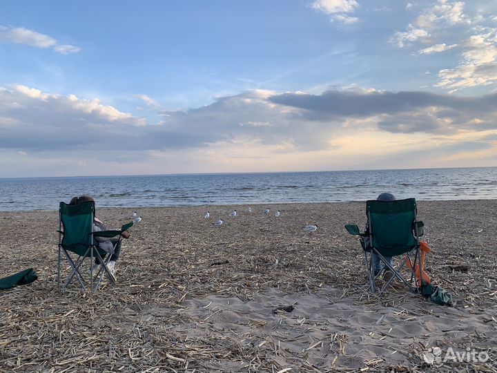 Няня, Экстренная няня для ребенка Сопровождение