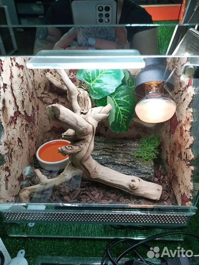 Террариум 