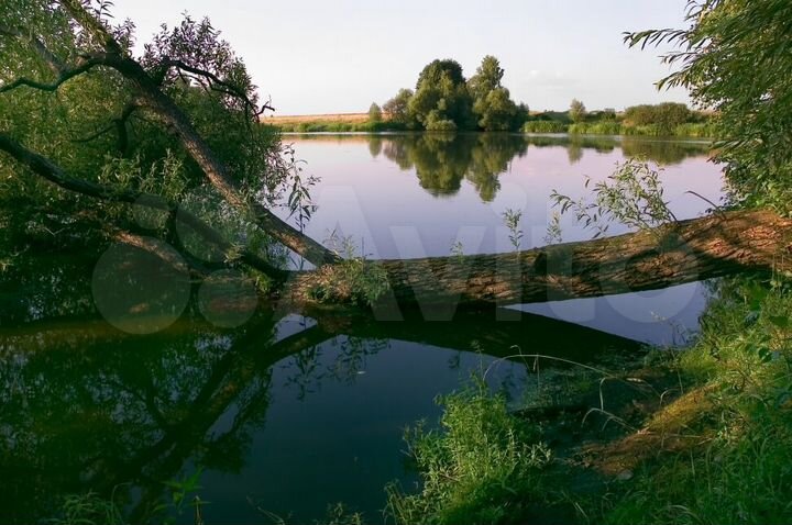 Участок 30 сот. (СНТ, ДНП)